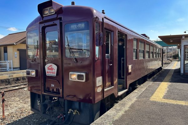 Watarase Keikoku Railway WA89-314