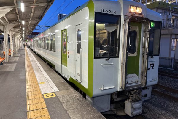 Hachiko Line KiHa 110-200 series train