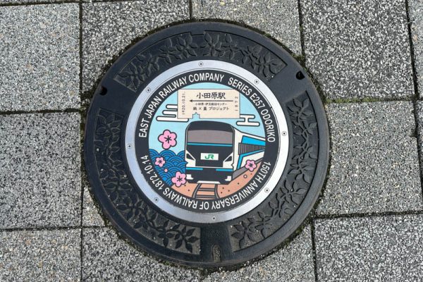 Manhole cover in Odawara: Odoriko E257 series train